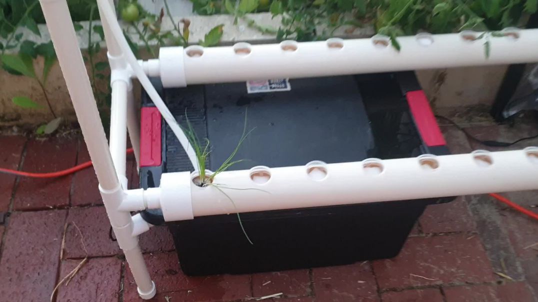 New mini hydroponic system