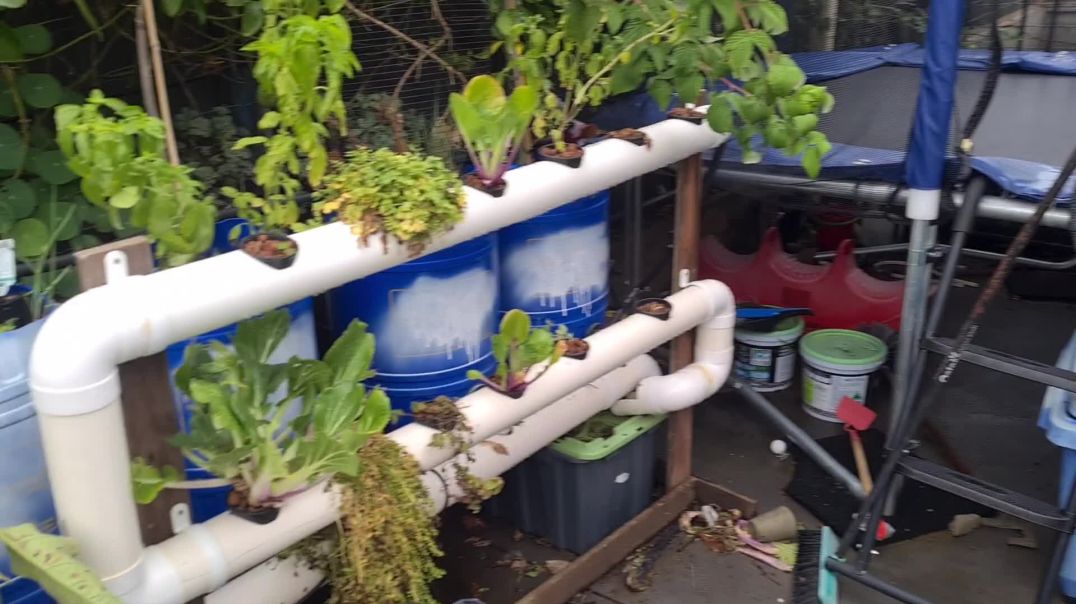Hydroponics