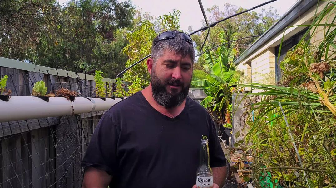 Sister in-laws hydroponics
